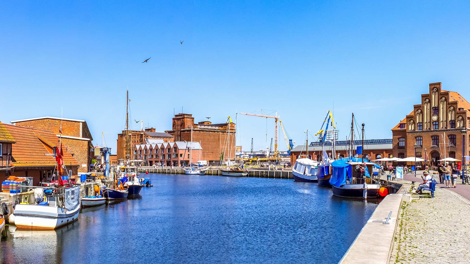 Der belebte Hafen von Wismar in strahlendem Sonnenschein